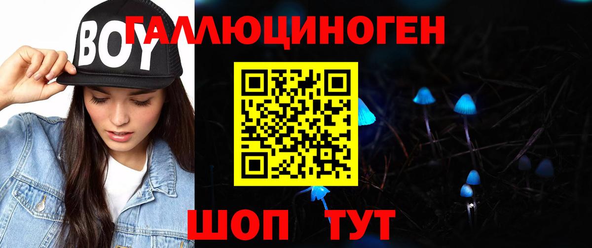 Галлюциногенные грибы GOLDEN TEACHER  Вход с VPN  Галлюциногенные грибы Psilocybine cubensis  Тавда 