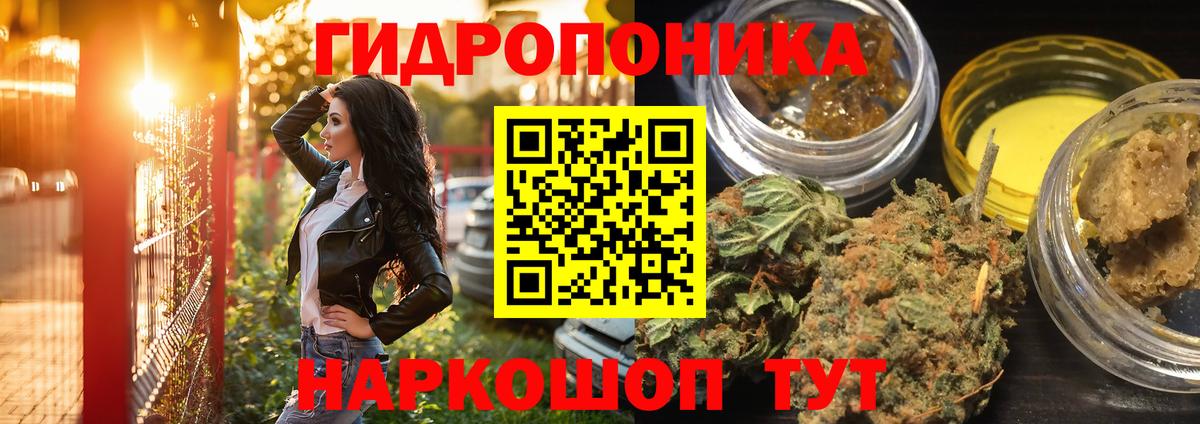 Тавда  Бошки Шишки Amnesia  Канабис Amnesia  Канабис Amnesia  Вход с VPN 