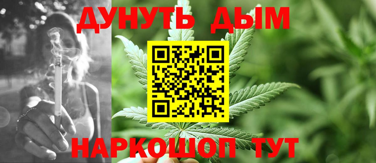 Конопля гибрид Тавда
